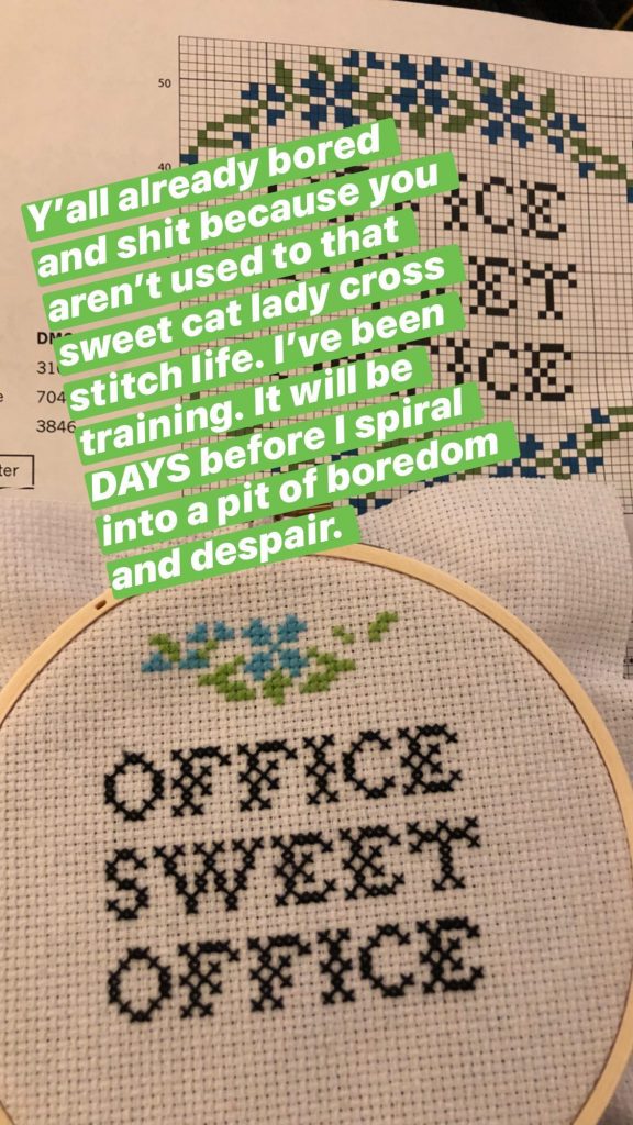 Y'all already bored and shit because you aren't used to that sweet cat lady cross stitch life. I've been training. It will be DAYS before I spiral into a pit of boredom and despair.